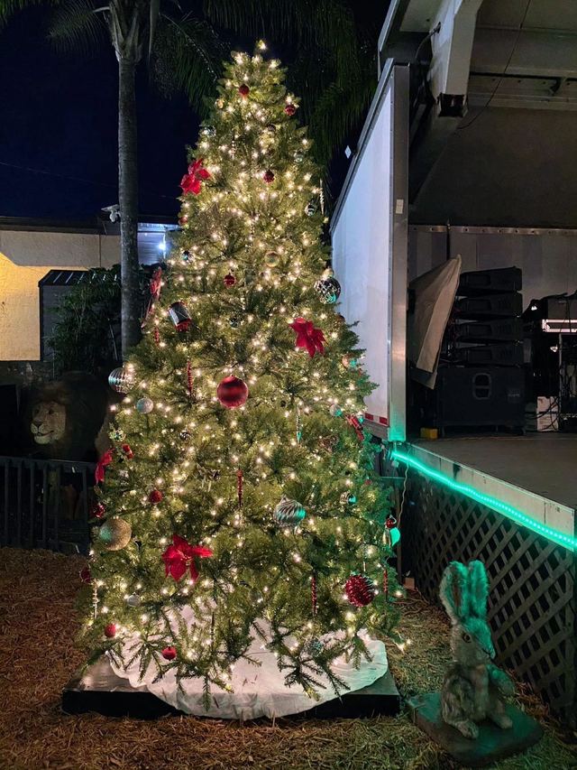 Weihnachtsfest at Krush Brau Park, Kissimmee – photo 15